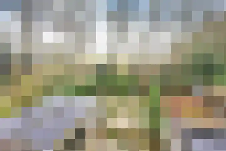 Bartolottilaan 51 Soest thumbnail 16