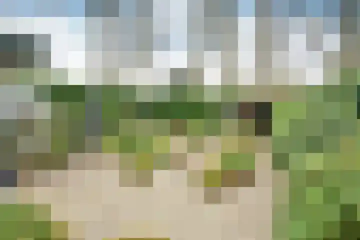 Bartolottilaan 51 Soest thumbnail 6