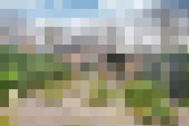 Bartolottilaan 51 Soest thumbnail 8