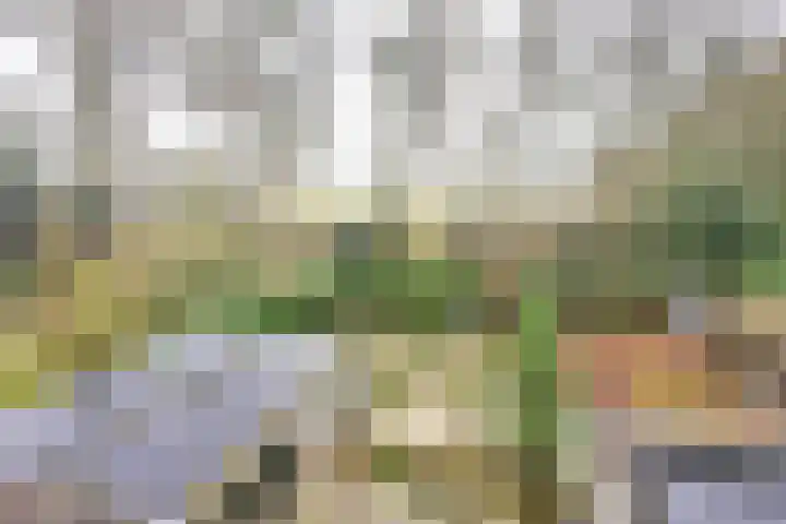 Bartolottilaan 51 Soest thumbnail 9