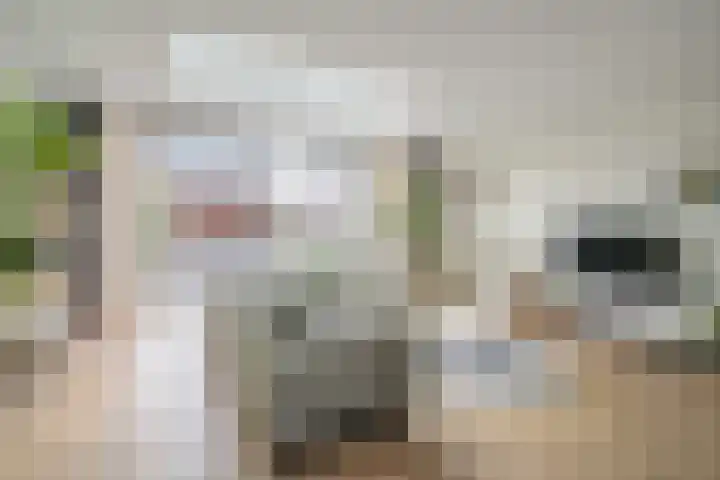 Bartoutszate 38 Delft thumbnail 10
