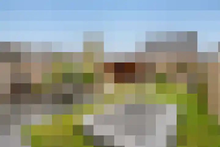 Bartoutszate 38 Delft thumbnail 13