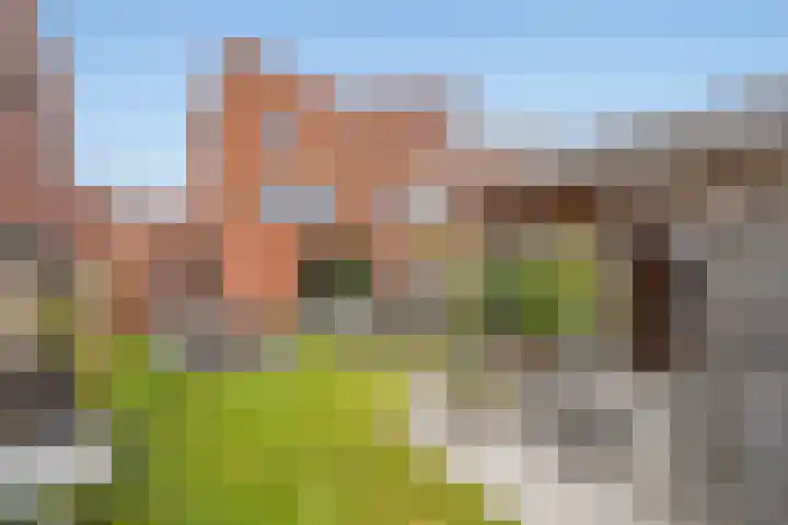 Bartoutszate 38 Delft thumbnail 16