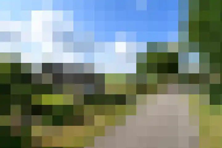 Bartoutszate 38 Delft thumbnail 17