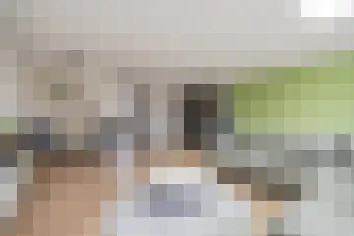 Bartoutszate 38 Delft thumbnail 17