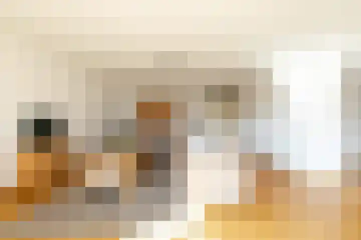 Bartoutszate 38 Delft thumbnail 20