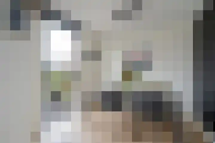 Bartoutszate 38 Delft thumbnail 26