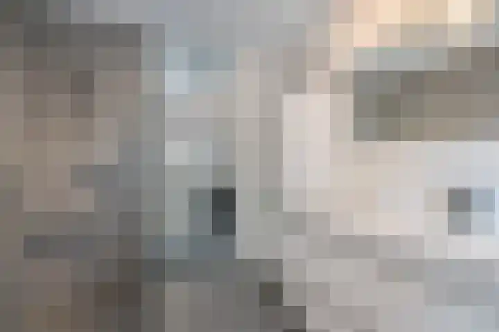 Bartoutszate 38 Delft thumbnail 32