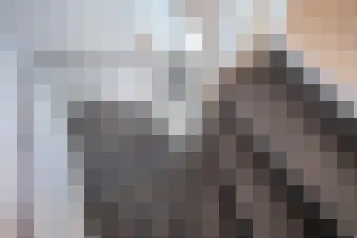 Bartoutszate 38 Delft thumbnail 36