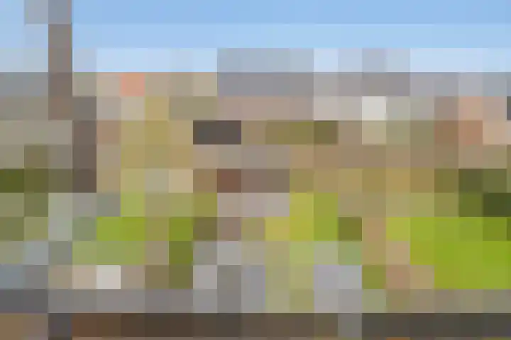 Bartoutszate 38 Delft thumbnail 40