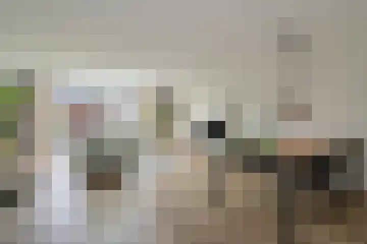 Bartoutszate 38 Delft thumbnail 9