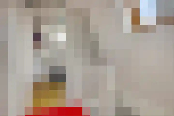 Basalt 27 Zoetermeer thumbnail 36