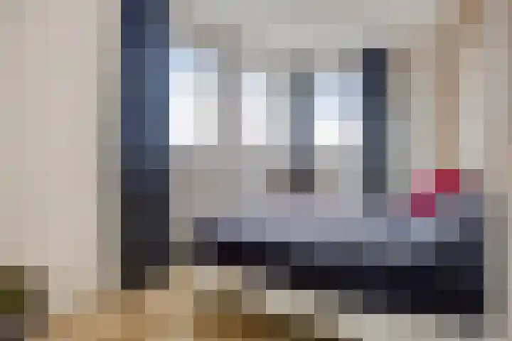 Basalt 27 Zoetermeer thumbnail 37