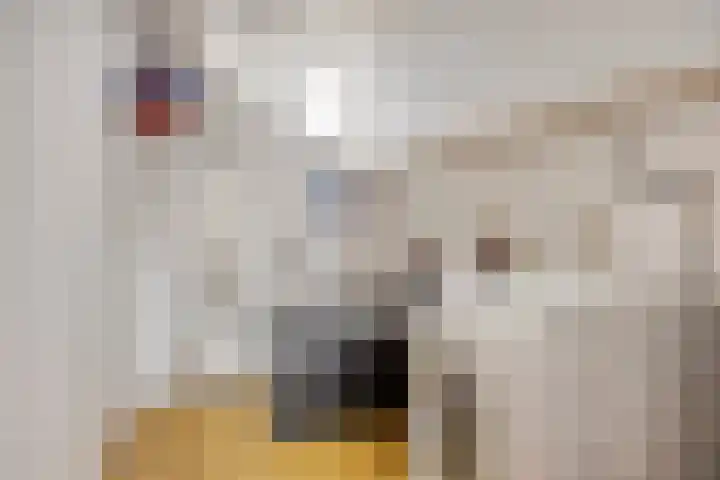 Basalt 27 Zoetermeer thumbnail 40
