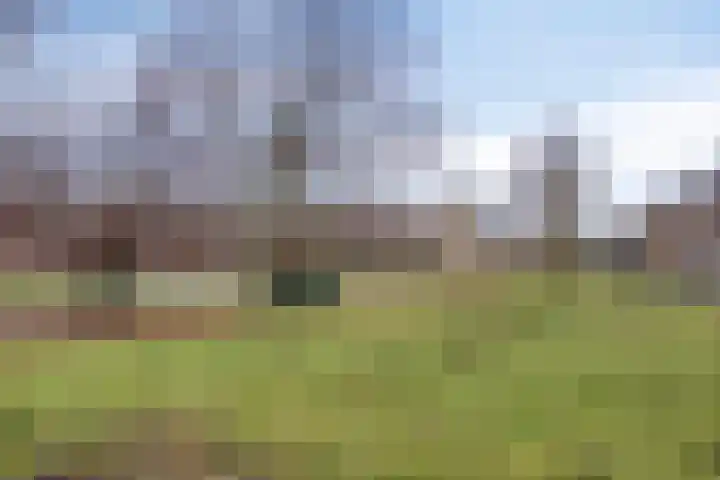Basalt 27 Zoetermeer thumbnail 50