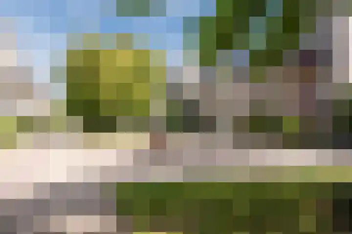 Basalt 32 Malden thumbnail 22