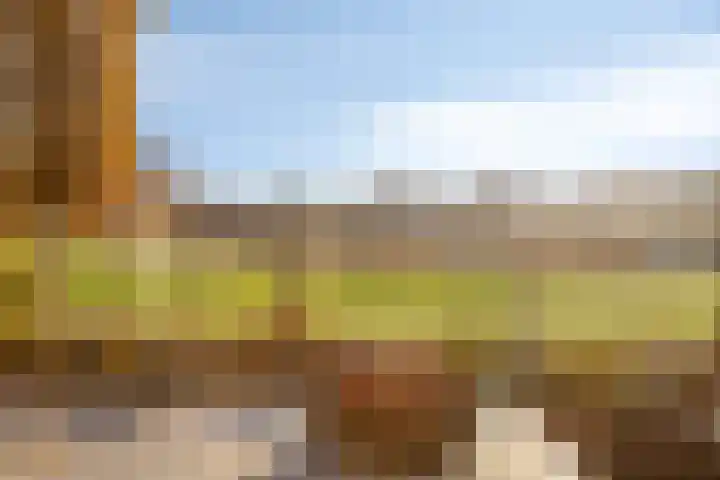 Basalt 44 Malden thumbnail 19