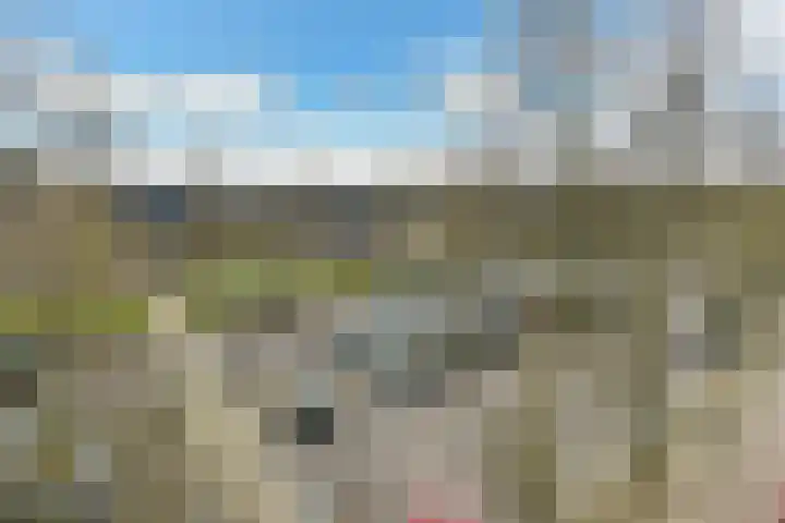 Basilica 115 Elst thumbnail 11