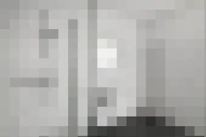 Basilica 115 Elst thumbnail 19