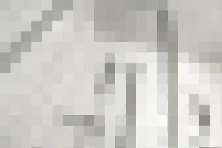 Basilica 115 Elst thumbnail 20