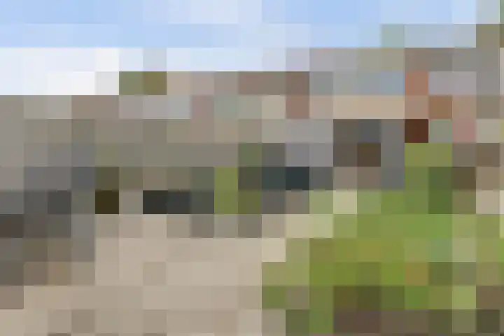 Baskenstraat 5 Dronten thumbnail 21
