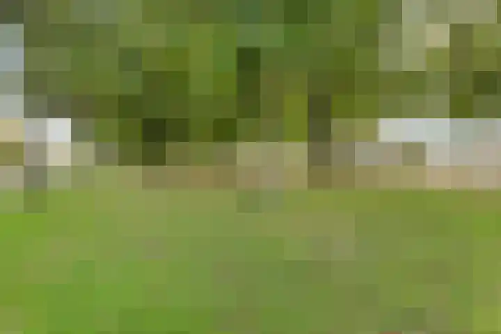 Baskenstraat 5 Dronten thumbnail 26