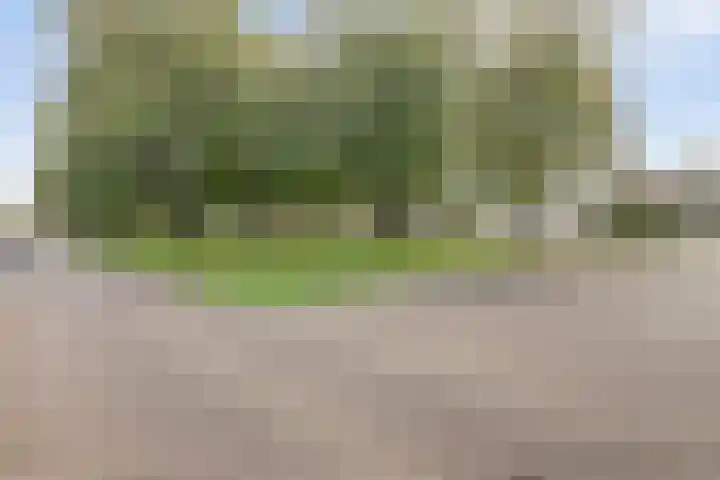 Baskenstraat 5 Dronten thumbnail 27