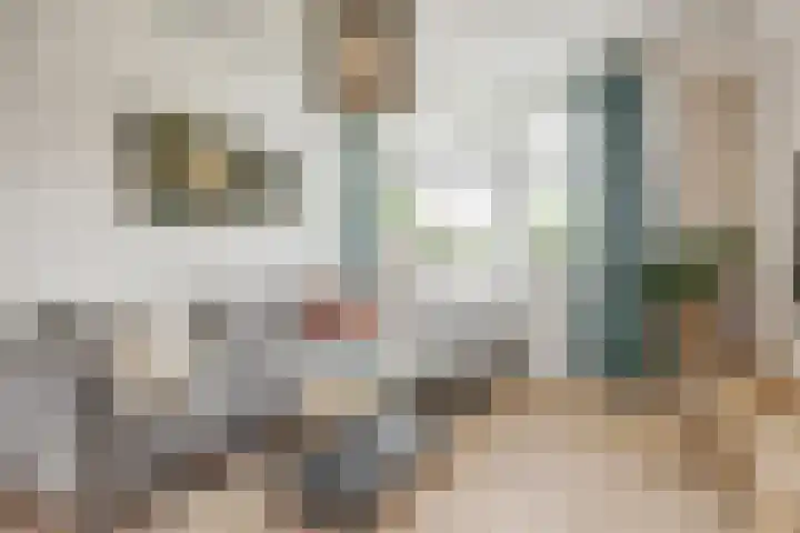 Baskenstraat 5 Dronten thumbnail 4