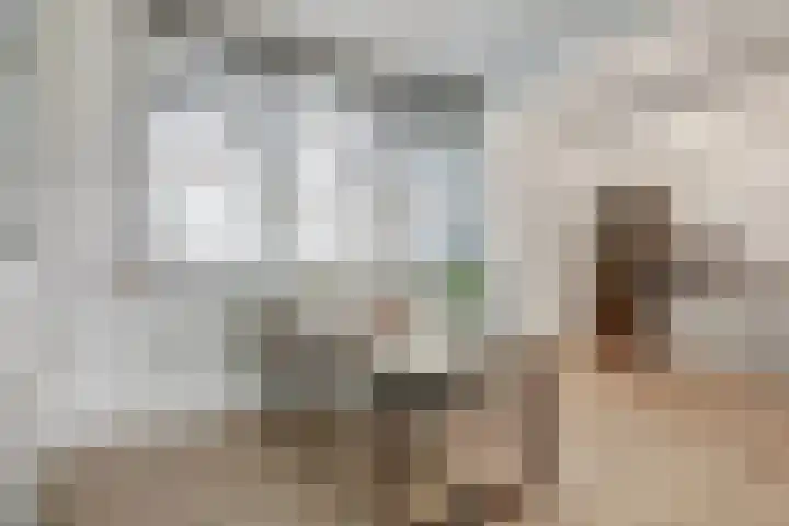 Baskenstraat 5 Dronten thumbnail 5