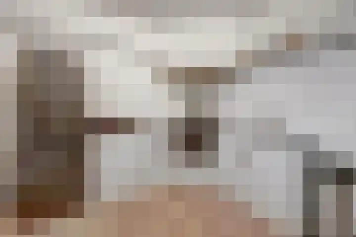 Baskenstraat 5 Dronten thumbnail 8