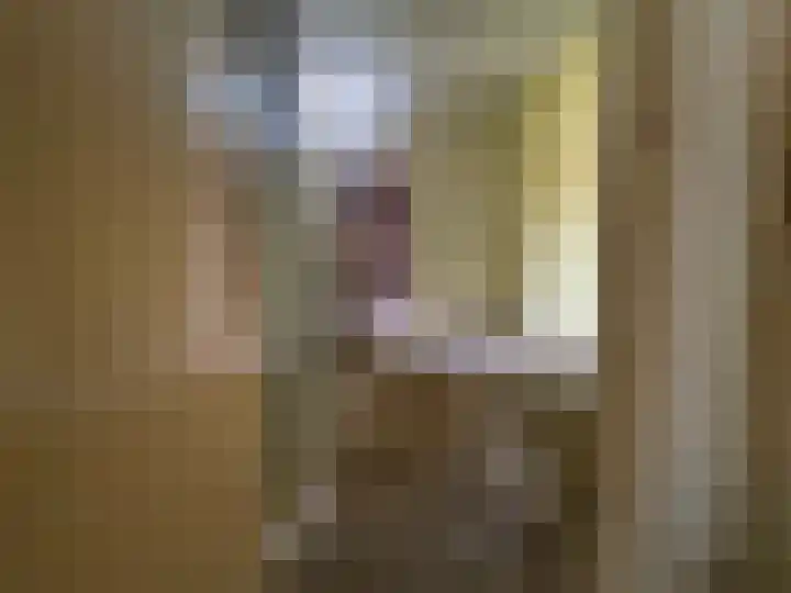 Baskenstraat 7 Dronten thumbnail 12