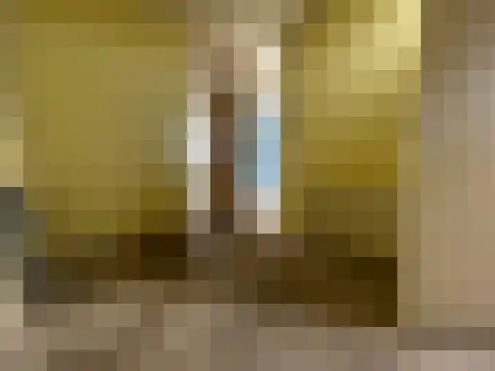 Baskenstraat 7 Dronten thumbnail 14