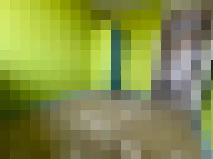 Baskenstraat 7 Dronten thumbnail 25
