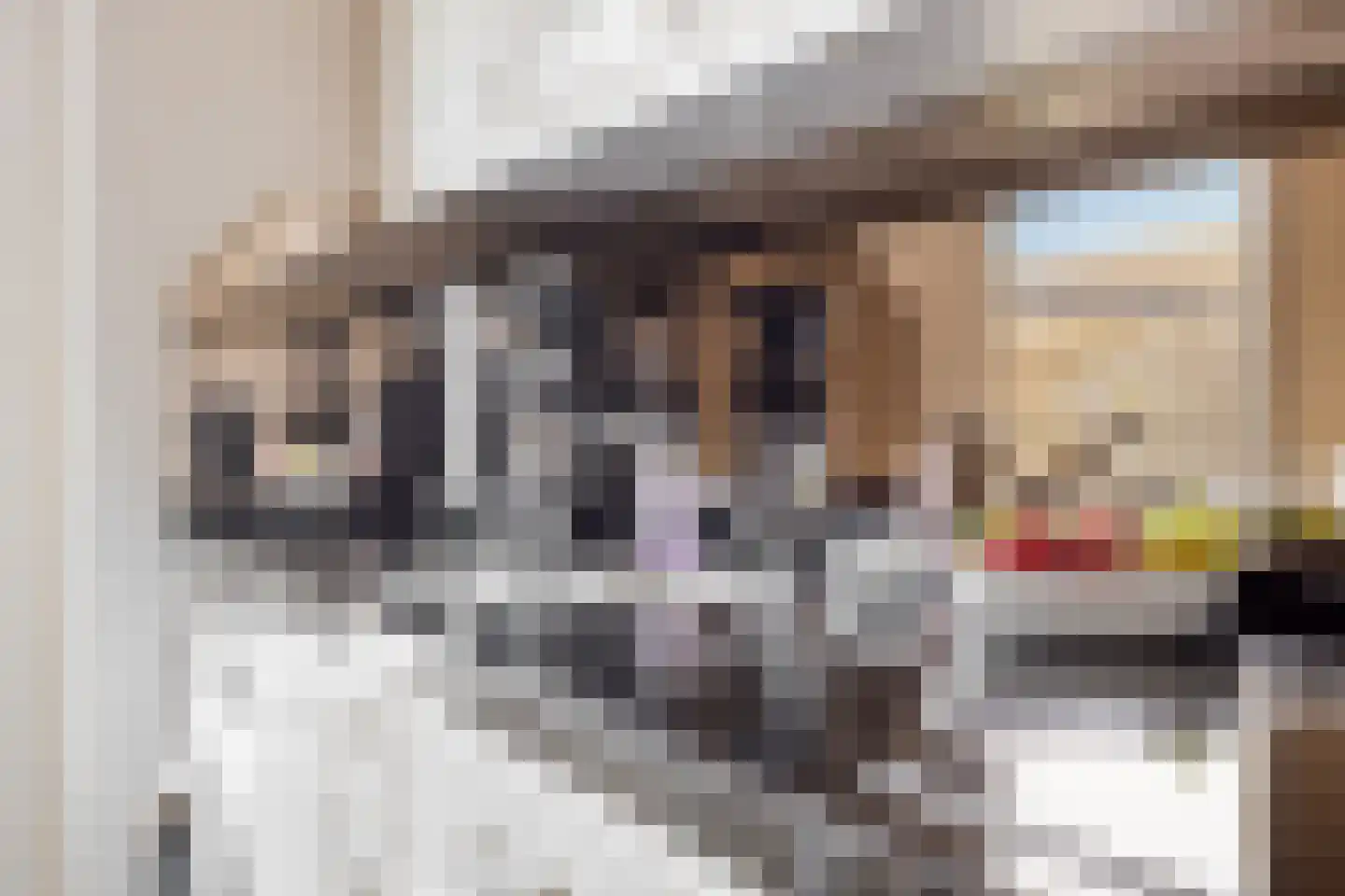 Basstraat 54 Helmond thumbnail 13