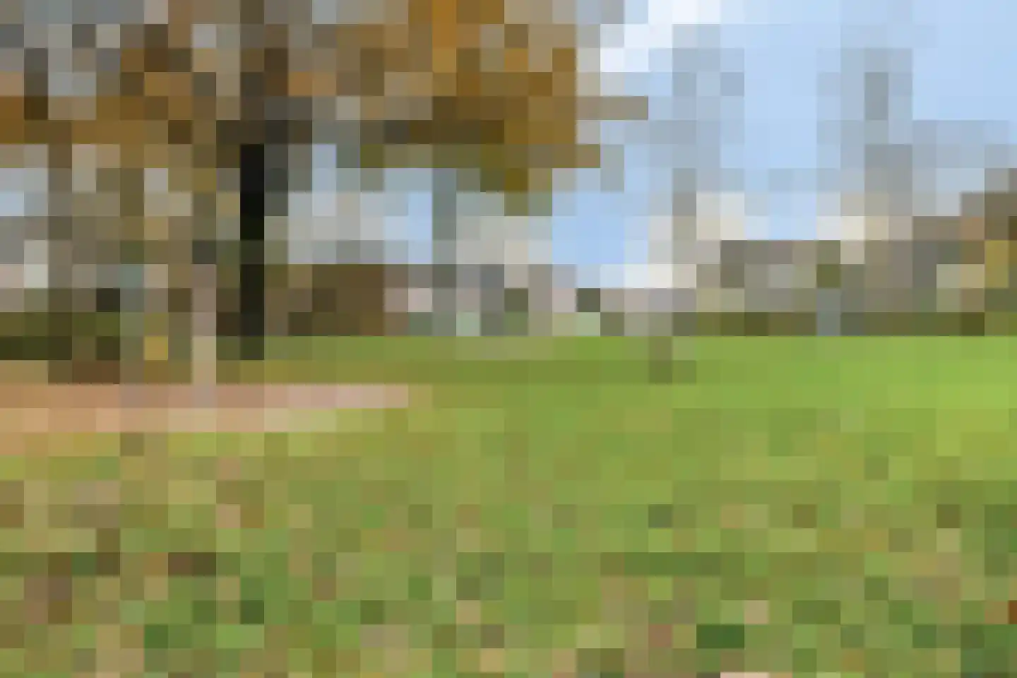 Basstraat 54 Helmond thumbnail 37