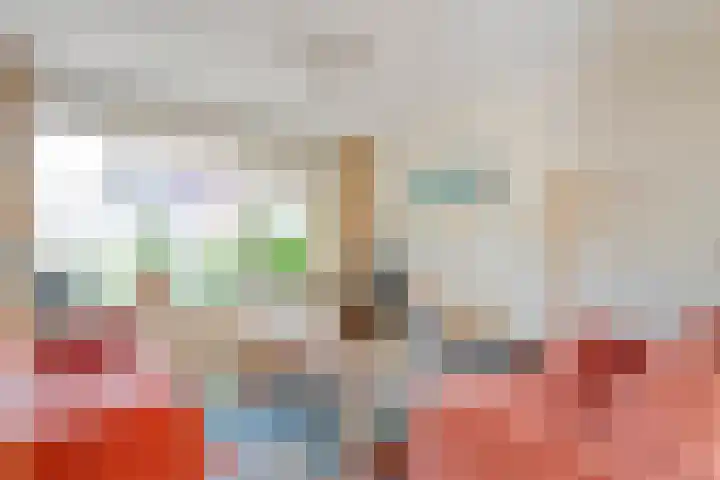 Bastertkamp 17 Zwolle thumbnail 10