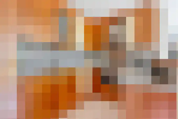 Bastertkamp 17 Zwolle thumbnail 12