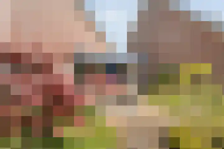 Bastertkamp 17 Zwolle thumbnail 27