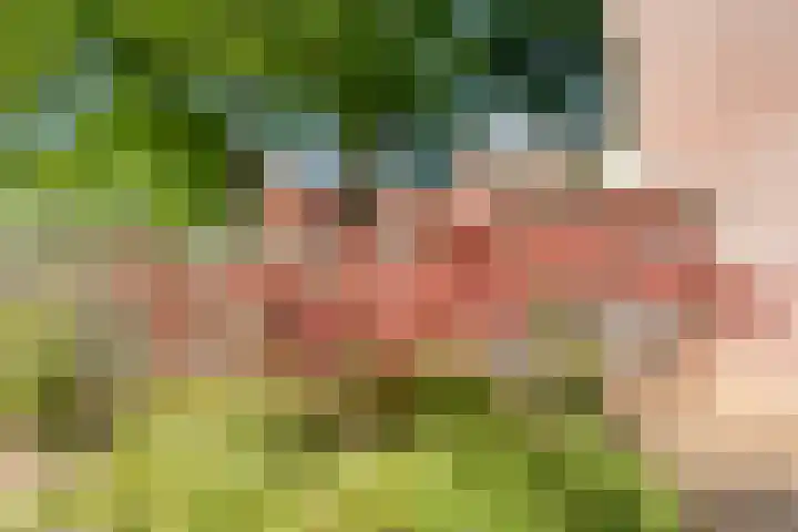 Bastertkamp 17 Zwolle thumbnail 28