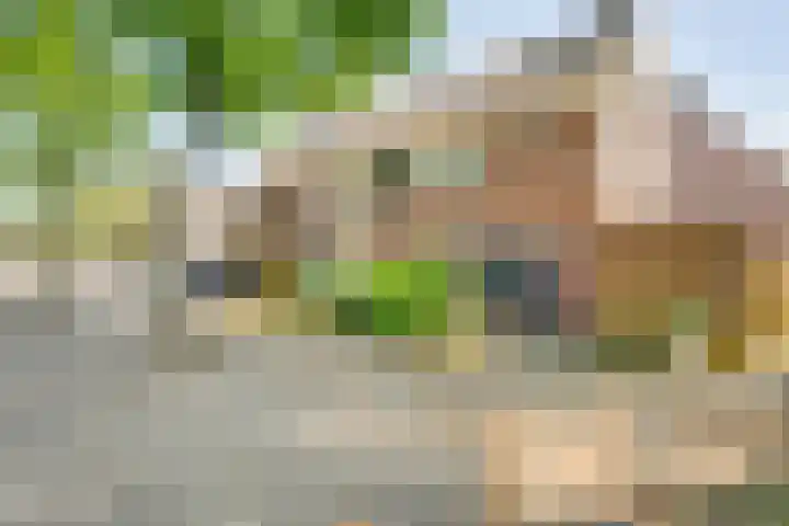 Bastertkamp 17 Zwolle thumbnail 30