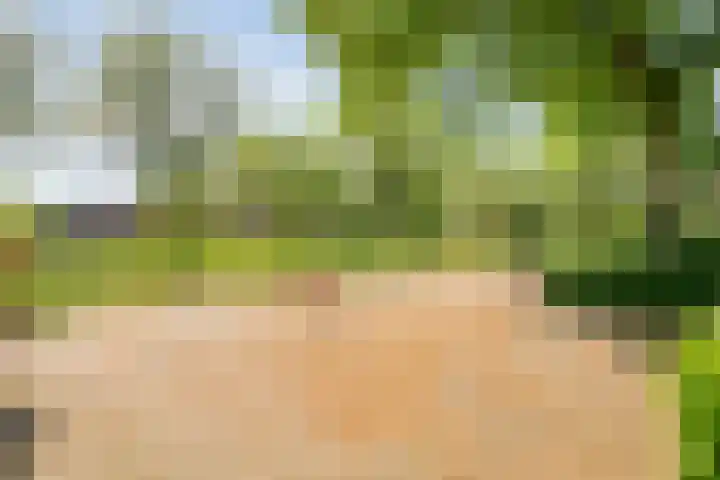 Bastertkamp 17 Zwolle thumbnail 32