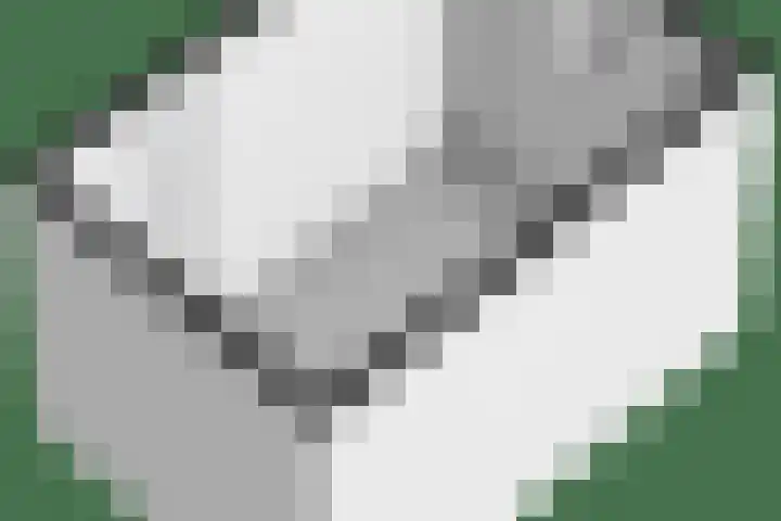Bastertkamp 17 Zwolle thumbnail 42