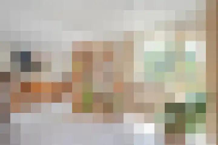 Bastertkamp 17 Zwolle thumbnail 7
