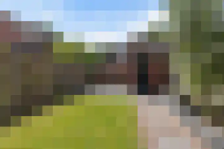Bastertkamp 37 Zwolle thumbnail 10