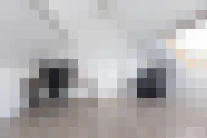 Bastertkamp 37 Zwolle thumbnail 16