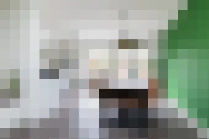 Bastertkamp 37 Zwolle thumbnail 4