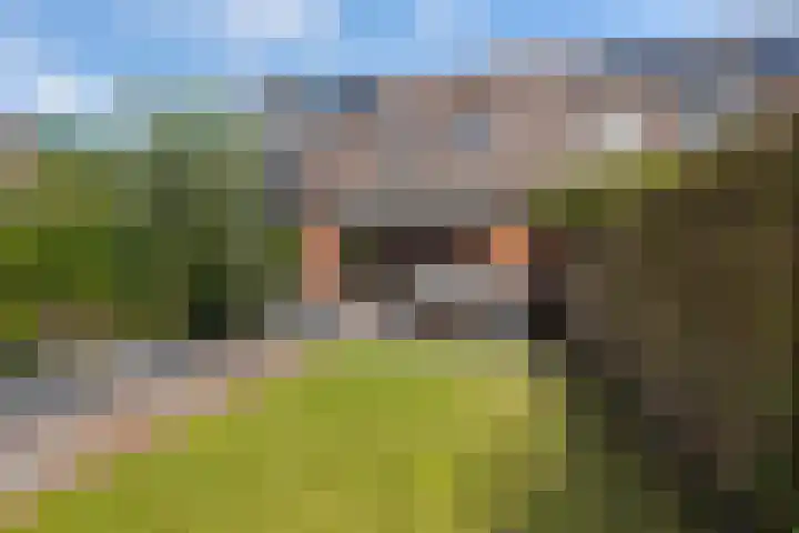 Bastertkamp 37 Zwolle thumbnail 9
