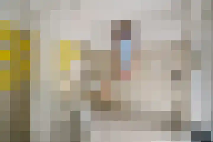 Bastertkamp 65 Zwolle thumbnail 22