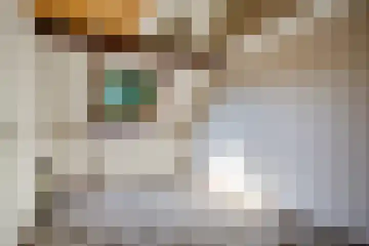 Bastertkamp 65 Zwolle thumbnail 30