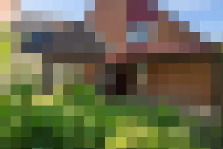 Bastertkamp 65 Zwolle thumbnail 32